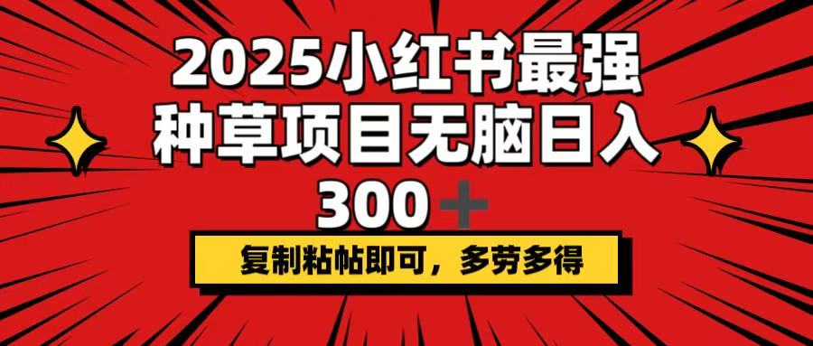 2025小红书最强种草项目，无脑日入300+，复制粘帖即可，多劳多得-kf网创