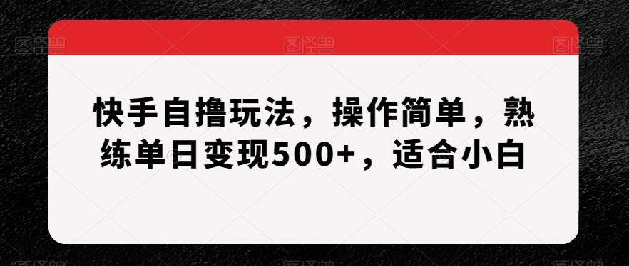 快手自撸玩法，操作简单，熟练单日变现500+，适合小白【揭秘】-kf网创