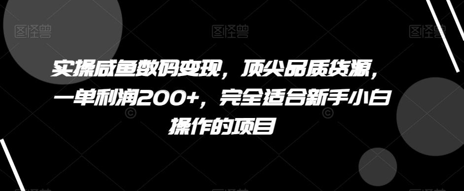 实操咸鱼数码变现，顶尖品质货源，一单利润200+，完全适合新手小白操作的项目【揭秘】-kf网创