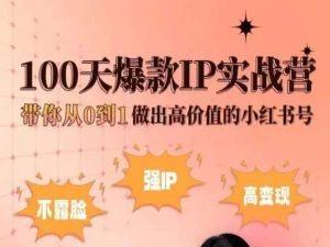 小红书100天爆款IP实战营，带你从0到1做出高价值的小红书号-kf网创