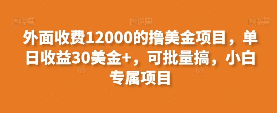 外面收费12000的撸美金项目，单日收益30美金+，可批量搞，小白专属项目-kf网创