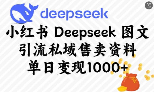 小红书Deepseek图文引流私域售卖资料，单日变现多张-kf网创