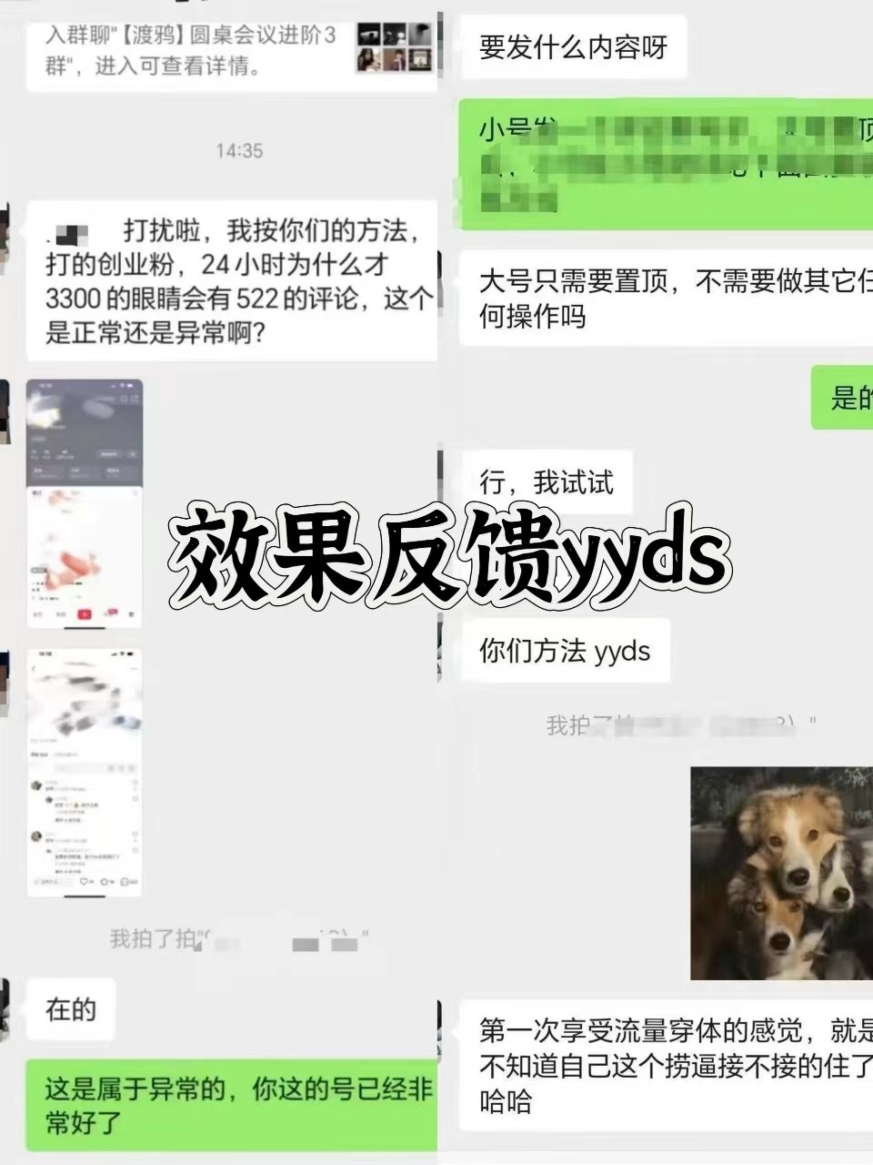 图片[3]-抖音小红书视频号全平台引流打法，全自动引流日引2000+精准客户-kf网创