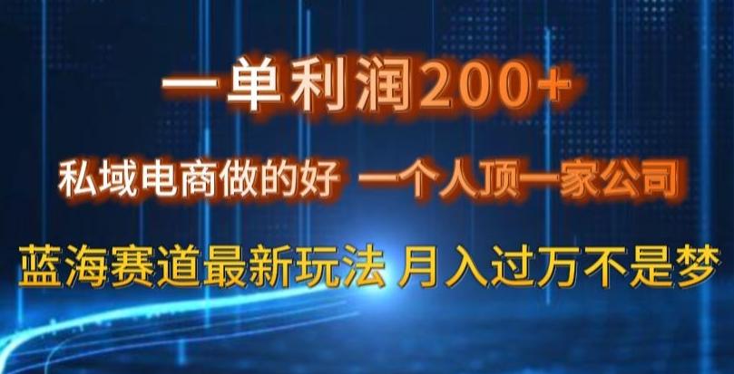 一单利润200私域电商做的好，一个人顶一家公司蓝海赛道最新玩法【揭秘】-kf网创