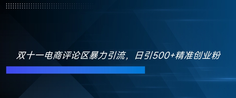 双十一电商评论区暴力引流，日引500+精准创业粉【揭秘】-kf网创