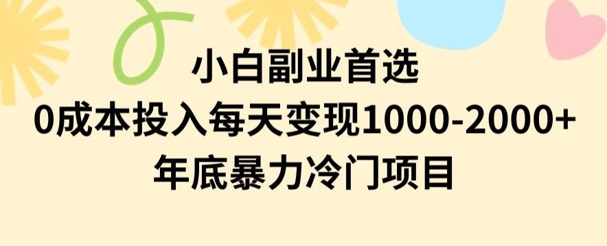 小白副业首选，0成本投入，每天变现1000-2000年底暴力冷门项目【揭秘】-kf网创