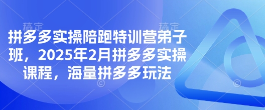 拼多多实操陪跑特训营弟子班，2025年2月拼多多实操课程，海量拼多多玩法-kf网创