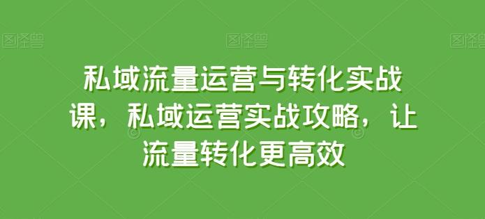私域流量运营与转化实战课，私域运营实战攻略，让流量转化更高效-kf网创