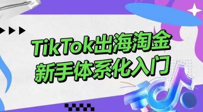 TikTok出海淘金，新手体系化入门，零基础快速入门，掌握短视频、直播带货等引流到变现的知识-kf网创