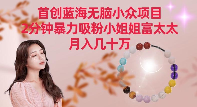 首创蓝海无脑小众项目，2分钟暴力吸粉小姐姐富太太，月入几十万【揭秘】-kf网创
