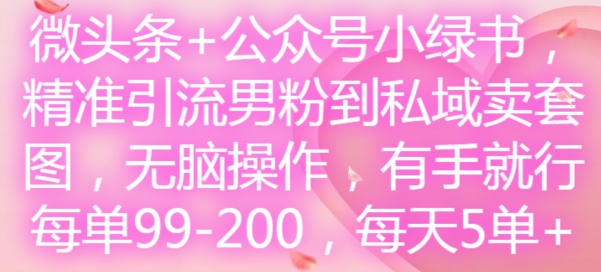 微头条+公众号小绿书，精准引流男粉到私域卖套图，无脑操作，有手就行，每单99-200，每天5单-kf网创