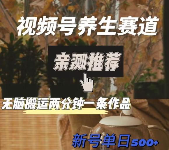 视频号养生赛道暴力掘金，无脑搬运，两分钟一条作品-新日单入500+-kf网创