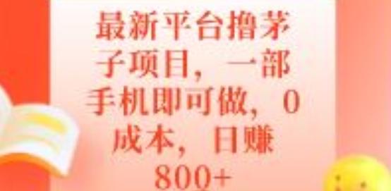 最新平台撸茅子项目，一部手机即可做，0成本，日赚800+-kf网创