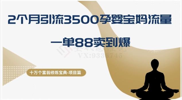 十万个富翁修炼宝典之13.2个月引流3500孕婴宝妈流量，一单88卖到爆-kf网创
