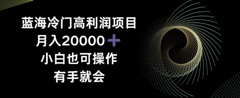 蓝海冷门高利润项目月入2000，小白也可操作有手就会-kf网创