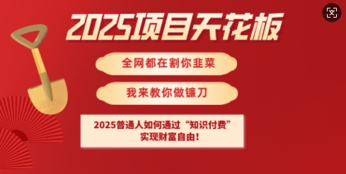 2025项目天花板普通人如何通过知识付费，实现财F自由【揭秘】-kf网创